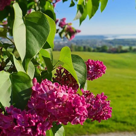 Schleipfnerhof Urlaub Auf Dem Bauernhof Villa Bernau am Chiemsee Dış mekan fotoğraf